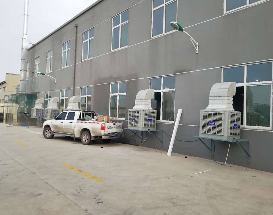 1648105495734230.jpg 1648105495734230.jpg