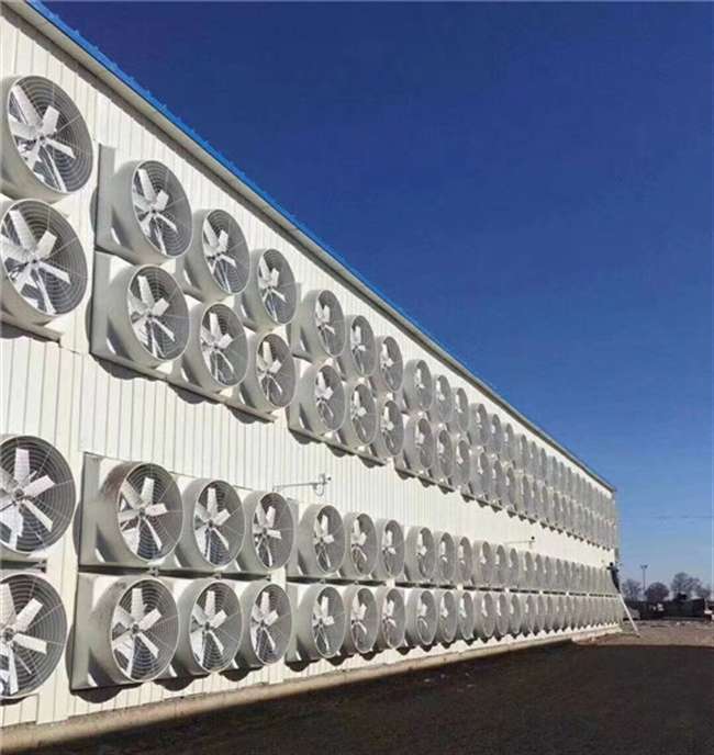 负压风机在厂房车间应用中是如何降温的?车间降温方案有哪些?看看这七种车间降温通风方案那种适合